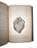 [ANATOMY ON ANIMALS / VETERINARY] تشريح مرضى درسلرى [i.e., Lectures on pathological anatomy] & اهلی حیوانلاردا اوتوپسیو تغییرات تشریهینین تشخیصی / Ehlî hayvanlarda otopsi... [i.e., Autopsy indomesticated animals and the diagnosis of anatomical changes]