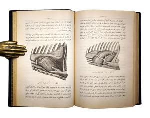 [ANATOMY ON ANIMALS / VETERINARY] تشريح مرضى درسلرى [i.e., Lectures on pathological anatomy] & اهلی حیوانلاردا اوتوپسیو تغییرات تشریهینین تشخیصی / Ehlî hayvanlarda otopsi... [i.e., Autopsy indomesticated animals and the diagnosis of anatomical changes]