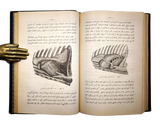[ANATOMY ON ANIMALS / VETERINARY] تشريح مرضى درسلرى [i.e., Lectures on pathological anatomy] & اهلی حیوانلاردا اوتوپسیو تغییرات تشریهینین تشخیصی / Ehlî hayvanlarda otopsi... [i.e., Autopsy indomesticated animals and the diagnosis of anatomical changes]