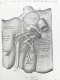 [FIRST MODERN BOOK ON INTERNAL DISEASES IN AFGHAN MEDICAL LITERATURE / AUTOGRAPHED COPY] امراض داخله / Emrâz-i dâhiliye [i.e., Internal diseases]