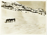 [PHOTOGRAPHY / OVERLAND JOURNEY THROUGH IRAN] 298 gelatine silver photographs in two albums, documenting a journey through Iran, in Tehran, Mashhad, Khorasan, Herat, Kurdistan, and onward to Iraq and Anatolia, by German travellers, c. 1925-1930