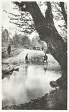 [PHOTOGRAPHY / OVERLAND JOURNEY THROUGH IRAN] 298 gelatine silver photographs in two albums, documenting a journey through Iran, in Tehran, Mashhad, Khorasan, Herat, Kurdistan, and onward to Iraq and Anatolia, by German travellers, c. 1925-1930