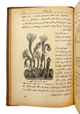 [EARLY ZOOLOGY BOOK BY TURKISH FRÖBEL] Tarih-i tabiîden ilm-i hayvânât: Vücûd ve hayât-i beser; tasvîr ve tasnîf-i hayvanât [i.e. Zoology from the Natural History: The anatomy and the life of human; the description and the classification of animals]