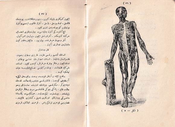 [PROFUSELY ILLUSTRATED MEDICAL HANDBOOK FOR MILITARY SERVICE] افراد صحیّه درس كتابى / Efrâd-i sihhiye ders kitabi [i.e., Illustrated textbook for Health Corps members]