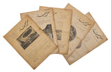 [THE FIRST MODERN POPULAR MEDICAL JOURNAL BY TURKEY'S FIRST PSYCHIATRIST] Sihhî sahifeler: Sihhî ve içtimâî aylik mecmua. Nos 2, 3, 4, 5, 6 (of 36) (15 February - 15 June 1923). [i.e., Pages on health].