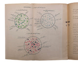 [OFFICIAL "JOURNAL OF HEALTH" AS A GOVERNMENT-ISSUED MEDICAL PUBLICATION] صحیه مجموعهسی / Sihhiye mecmuasi. 19 issues (of 84?). [i.e., Journal of Health: Covers laws and regulations, draft legislation related to public health