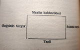 [EINSTEIN’S “MEIN WELTBILD” IN TURKISH: THE FIRST WORK BY EINSTEIN TRANSLATED INTO TURKISH] Dünyayi nasil görüyorum. Translated by Kemal Zülfü Taneri (1894-1966), Nazim Kemal