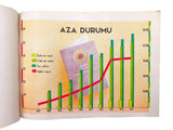 [DATA VISUALIZATION / STATISTICS OF THE ENLIGHTENMENT OF THE YOUNG REPUBLICAN TURKEY] C.H.P. Halkevleri - Halkodaları 1932-1942.