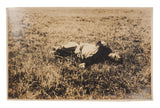 [PHOTOGRAPHY / THE SECOND SINO-JAPANESE WAR] A loose photograph collection, seventeen silver gelatines and three postcards documenting mass and individual deaths, executions and torture during the Second Sino-Japanese War (1935-1945)