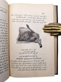 [THE FIRST VETERINARY JOURNAL OF THE TURKISH REPUBLIC] عسگری طب بیطری مجموعسی / Askerî tib baytârî mecmuasi: Müdafaa-i Milliye Vekâleti... The last 12 issues (of 108). December 1928 - November 1928. Nos: 1-12. (The last 12 issues)