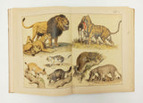 [OTTOMAN ZOOLOGY / BEAUTIFUL COLOR PLATE BOOKS] Musavver tarîf-i hayvanât. [i.e. Illustrated description of animals]