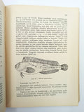 [THE BLACK SEA / FISHES / HYDROBIOLOGY] The fishes of the Black Sea Basin = Karadeniz Havzasi baliklari
