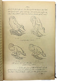 [ONE OF THE EARLIEST COMPLETE TURKISH BOOK ON THE MODERN GYNAECOLOGY] Fenn-i vilâde. 2 volumes in one [i.e. The book of gynaecology: The pregnancy.; Obstetrics (or birth), maturation, final stage of pregnancy, and newborn].