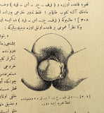 [ONE OF THE EARLIEST COMPLETE TURKISH BOOK ON THE MODERN GYNAECOLOGY] Fenn-i vilâde. 2 volumes in one [i.e. The book of gynaecology: The pregnancy.; Obstetrics (or birth), maturation, final stage of pregnancy, and newborn].