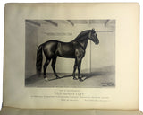 [ARABIAN HORSE BREEDING IN NORTH AMERICA] History in brief Leopard and Linden, General Grant's Arabian stallions, presented to him by the Sultan of Turkey in 1879, also their sons Generale Beale and Hegira, and Islam...