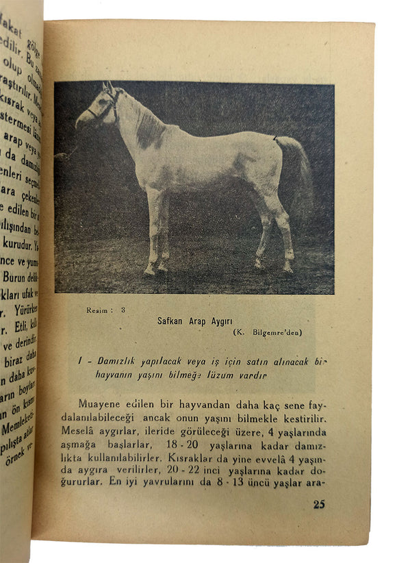 [EARLY REPUBLICAN PERIOD BOOK OF THE HORSES AND HORSE BREEDING] Türk köylüsü için atçilik (Üretme, bakim ve yemleme usulleri). [i.e. Horse breeding for the Turkish villagers].