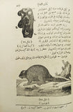 [FRENCH ZOOLOGIST IN OTTOMAN LITERATURE] Ilm-i hayvânât. [i.e. Zoology]. Translated by Hüseyin Remzi